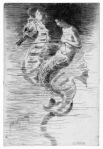 seahorse and mermaid